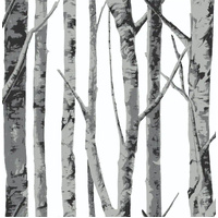 BIRCH TREES PEEL AND STICK WALLPAPER