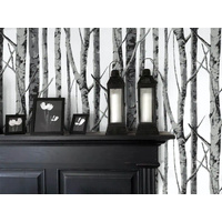 BIRCH TREES PEEL AND STICK WALLPAPER