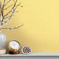 Plain Texture Wallpaper
