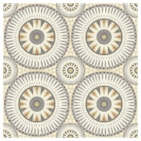 LARGE ELLIPSE - FOSSIL