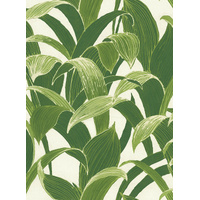 BANANA GROVES PEEL AND STICK WALLPAPER