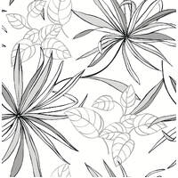 SPIDER PLANTS PEEL AND STICK WALLPAPER