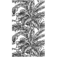 PALM JUNGLE