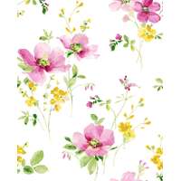WATERCOLOR WINDFLOWER