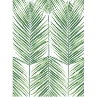 PARADISE PALMS 