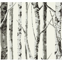 WINTER BIRCH PEEL AND STICK WALLPAPER
